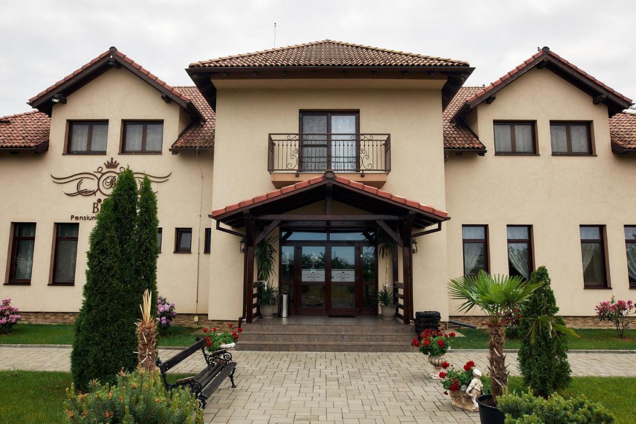 Pensiunea Brise Mediesu Aurit Exterior photo